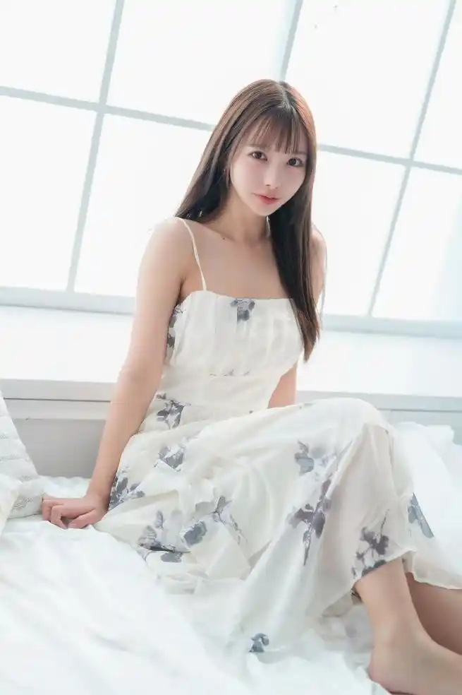 算法与人工